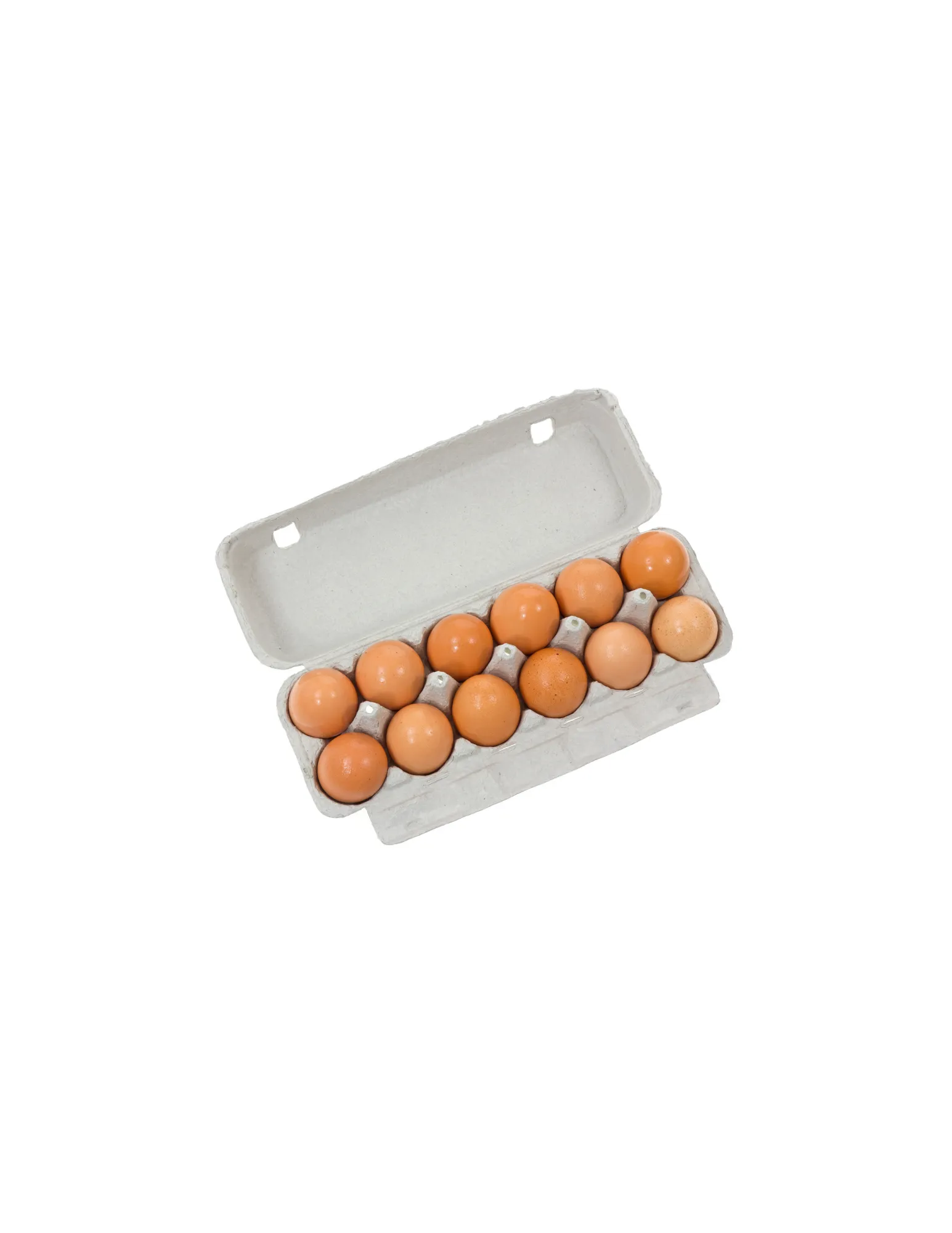12 eggs - Jumbo Brown Dozen Cartons