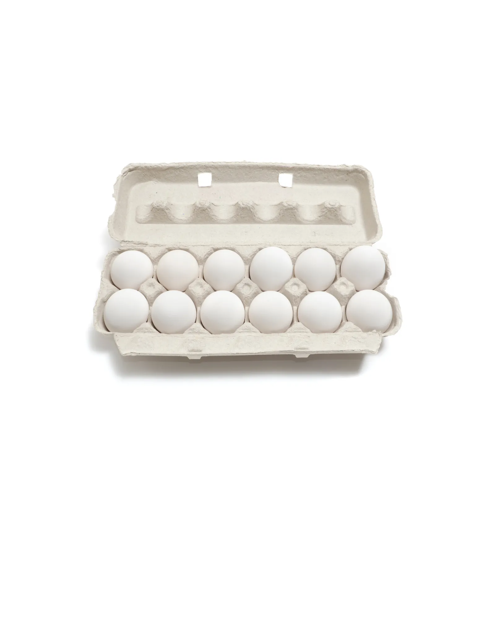 12 eggs - Jumbo White Dozen Cartons