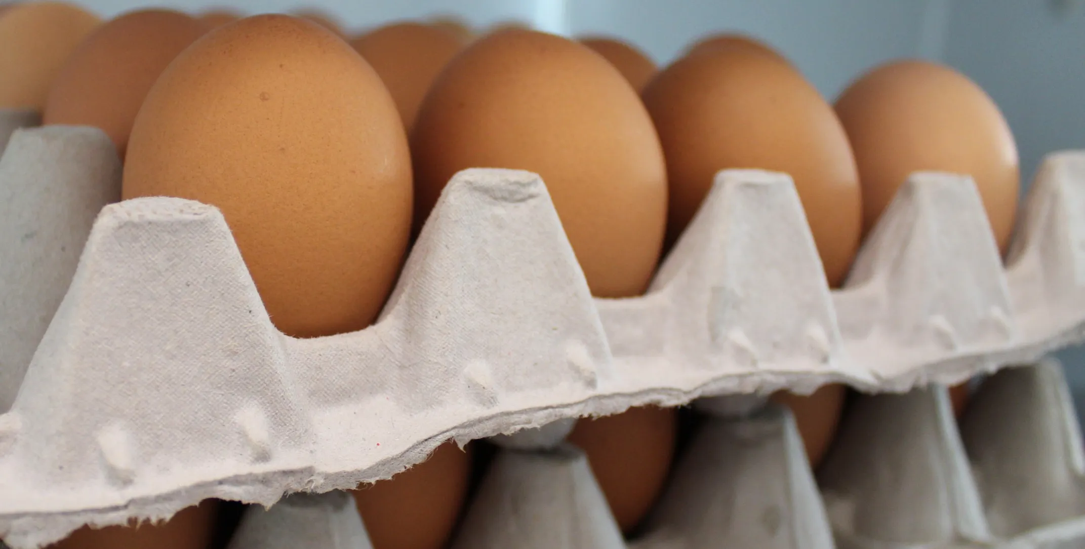 20 eggs - Jumbo Brown Trays