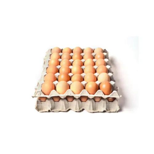 30 eggs - Extra Large Brown Trays