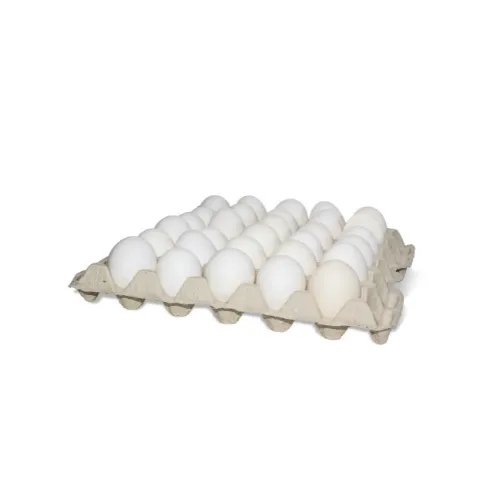 30 eggs - Extra Large White Trays