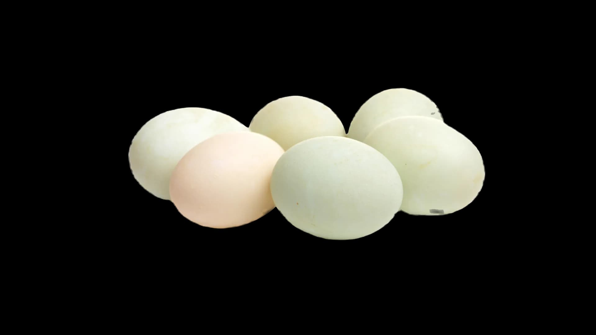 6 Duck Eggs