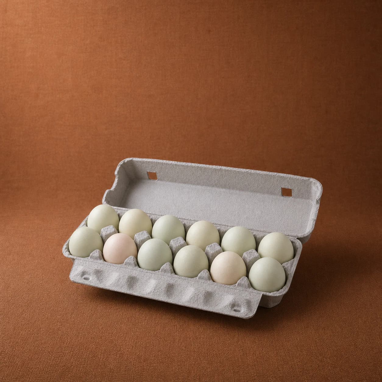 12 Duck Eggs