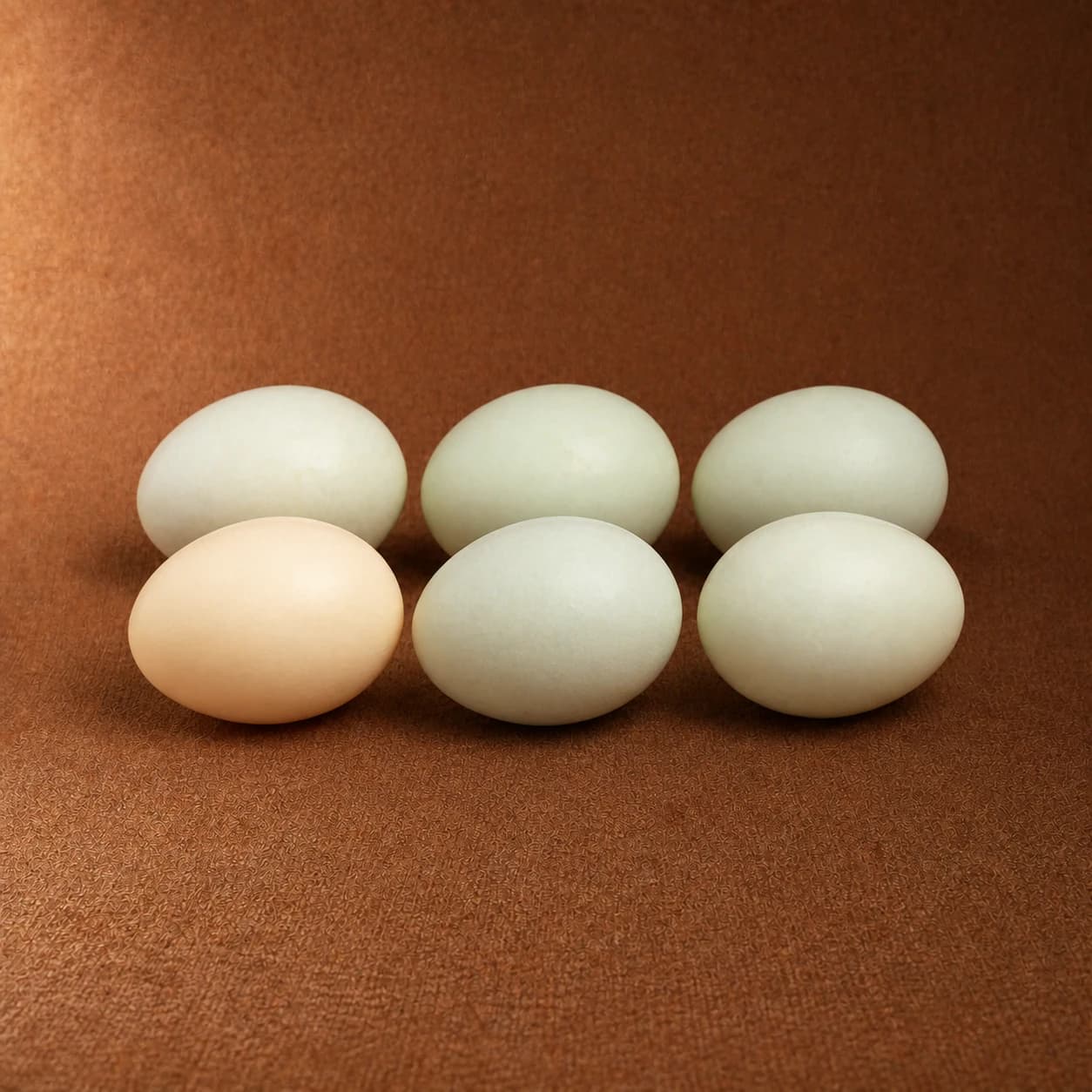 6 Duck Eggs