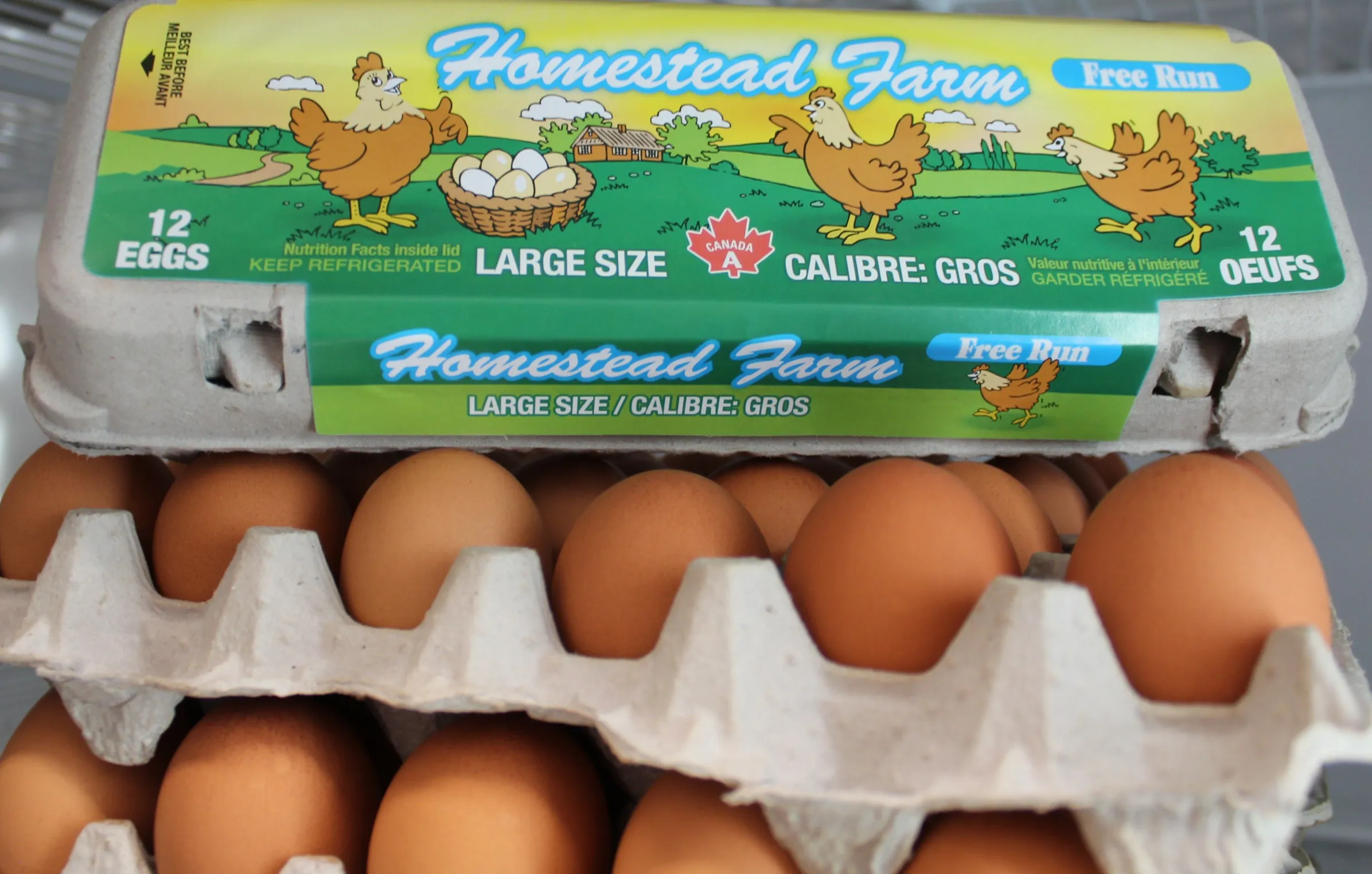 Large Free Run - Dozen Cartons - alternate view