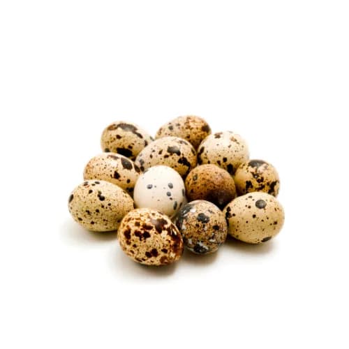 Quail Eggs - alternate view