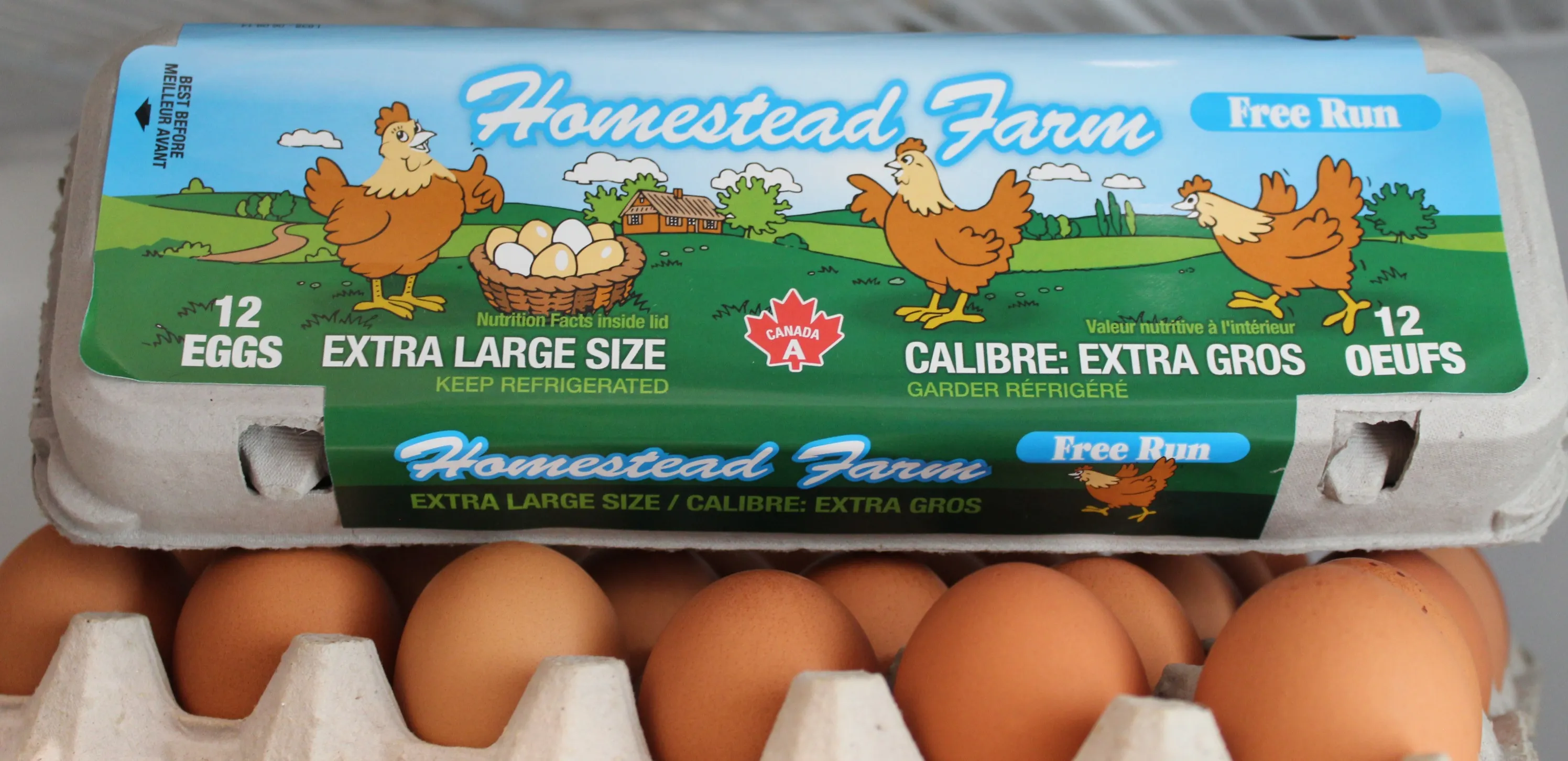 Tray of 30 Extra Large Free Run