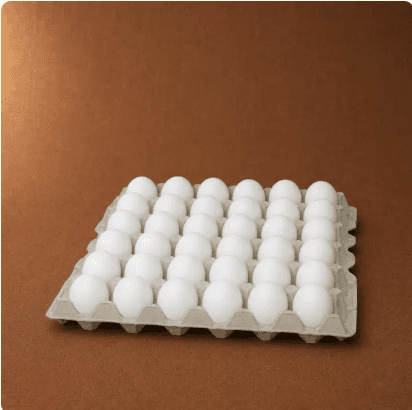 Classic Extra Large egg carton