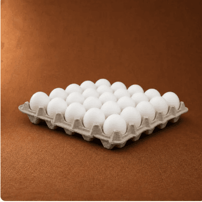 Classic Large egg carton