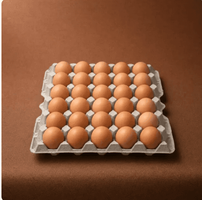 Free Run Large egg carton
